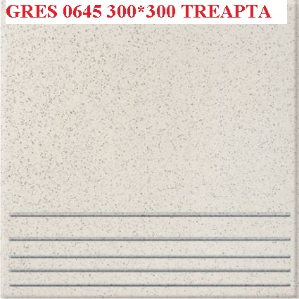 Gres 0645 300x300 Treapta