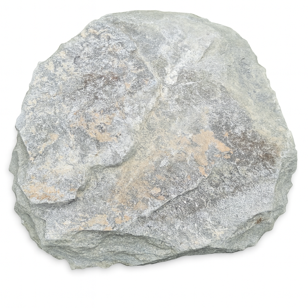 C40295F9-C4CE-4713-8187-31D79EC6F83D