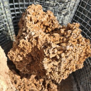 Piatră naturală decorativă Spaghetti (1 kg)